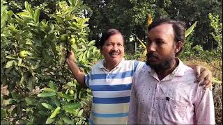 Treatment of mastitis in cows with Ethnoveterinary medicine in Pathe Pathshala by Dr Balaram Sahu [upl. by Thaxter944]