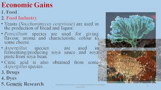 Importance of Fungi fsc  Biology Fungi Online Classes Ecological economicimpact [upl. by Millhon]