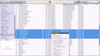 Hörbücher in iTunes kennzeichnen Tutorial [upl. by Hippel]