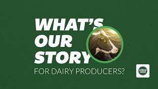 Whole Cottonseed Benefits for Dairy Producers  Brett Reinford [upl. by Nahpets]