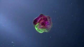 Flow Cytometry Animation [upl. by Catima]