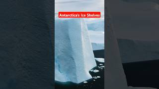 Antarcticas Ice Shelves 👌👌👌viralvideo shorts ytshorts youtubeshorts trending subscribe [upl. by Ulrick299]