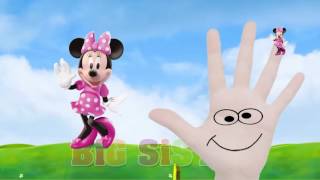 Mickey Mouse and Friends Colours Balloon Pop Finger Family Song [upl. by Wyon963]