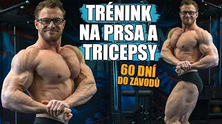 TRÉNUJU HRUDNÍK A TRICEPSY  60 dní do závodů [upl. by Mosley32]