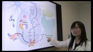 LongTerm Synaptic Depression Triggered by Microglia [upl. by Yorgos]