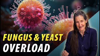 Fungus or Yeast Overload  Health Tips  Barbara ONeill [upl. by Forcier]