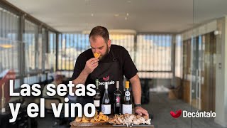 Las setas y el vino  Decántalo [upl. by Faxun]