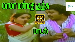 Mama Manmatha Kunju மாமா மன்மத குஞ்சு  SPShailajaChorus  Love H D Song [upl. by Hymen]