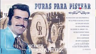 VICENTE FERNÁNDEZ VIEJITAS PARA ADOLORIDOS  VICENTE FERNANDEZ EXITOS ROMANTICOS [upl. by Kussell750]