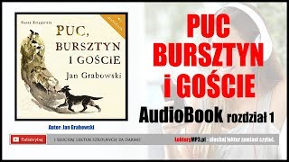 PUC BURSZTYN i GOŚCIE Audiobook MP3 🎧 rozdział 1  posłuchaj i pobierz całość [upl. by Pentheam404]