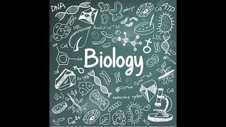 AS1 Biology  Molecules and Cells Full Revision Video [upl. by Aeduj]