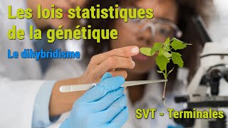 Le dihybridisme  les lois statistiques de la génétique  Cours en Ligne SVT  Erepetiteurcom [upl. by Rand]