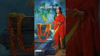 Meri tulsi ke gamle mein om likha h l tulsi mata and om status tulsi om trending [upl. by Gleeson]