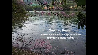 Zoom2Poem Suharshani Darmarathna part 1 [upl. by Sauer]