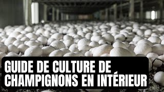 COMMENT CULTIVER DES CHAMPIGNONS À LA MAISON [upl. by Aitnas]