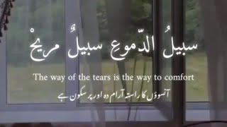 The Way Of The Tears  Nasheed  TranslationEnglish Urdu Without Music  Muhammad al Muqit [upl. by Cheffetz]