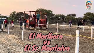 El Marlboro Vs El señor Montalvo MALANOCHE 2024 [upl. by Hallie]