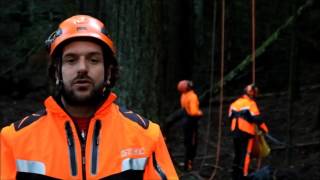 Vallombrosa Intervista a Matteo Cortigiani Arboricoltore  tree climber [upl. by Kiernan]