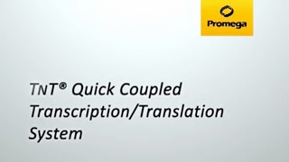 TNT® Quick Coupled TranscriptionTranslation System [upl. by Purse]