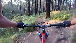 Silvan MTB trails  03032019 [upl. by Socram]