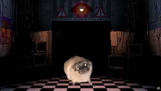 pug dancing to FNAF music box [upl. by Aicilas]