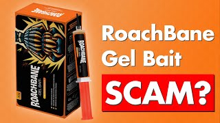 RoachBane Gel Bait Review  Legit or Scam [upl. by Sokcin]