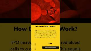 EPO Erythropoietin Simply Explained [upl. by Claus990]