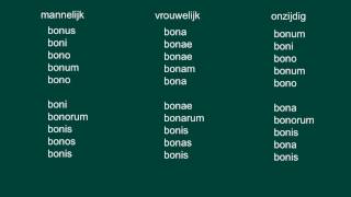 Het bijvoeglijk naamwoord Latijn [upl. by Ennovahs]