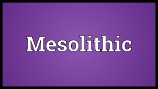 Mesolithic Meaning [upl. by Zak]