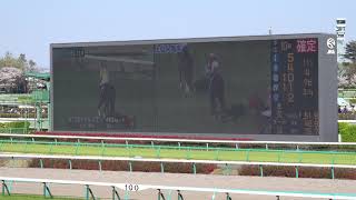 20190413 中山競馬場11レース 中山グランドジャンプ（J・GⅠ）本馬場入場、全出走馬紹介 [upl. by Eyla]