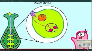 Plant Reproduction Amoeba Sisters WS 12 11 14 [upl. by Rabin]