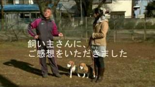 ★これだけは知っておきたい★日本一 犬のしつけの技術★ [upl. by Ethelind]