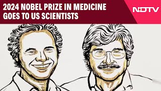 Nobel Prize In Medicine  2024 Nobel Prize In Medicine Goes To US Scientists For microRNA Discovery [upl. by Elsbeth]