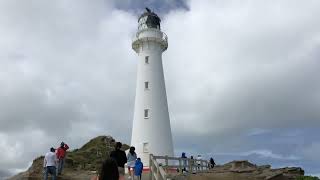 Castlepoint Lighthouse  amazing view easy hike  MUST VISIT while in masterton newzealand [upl. by Entsirhc]