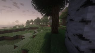 Test Minecraft RX 580  Optifine [upl. by Neros]