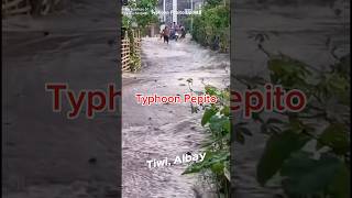 Typhoon Pepito Update [upl. by Ayisan]