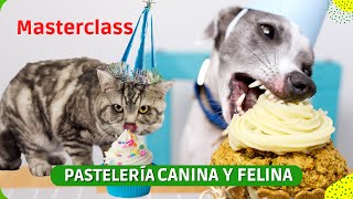 🐈🐕 MASTERCLASS 🐾 Pastelería Canina y Felina 🧁 RECETAS CLASE COMPLETA [upl. by Aitas]