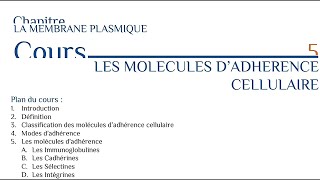 Les molécules d adhérence cellulaire [upl. by Eenattirb600]