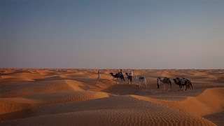 Sahara desert from Douz to Ksar Ghilane  True Tunisia  season 1 episode 5 [upl. by Hultgren226]