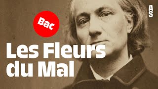 Les Fleurs du Mal Charles Baudelaire  Bac français 2024 [upl. by Ossy283]