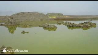 Dallol Volcanos Acid Lakes [upl. by Dahsra490]