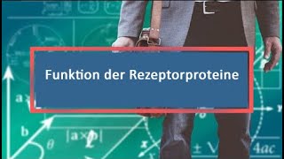 Funktion der Rezeptorproteine [upl. by Alpert181]