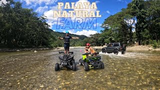 Palaya Natural Farm  ATV Adventure  Camping or Family Bonding  PALAYA FULL VIDEO [upl. by Janella]