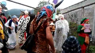 Carnaval 2015 carpinteros Hidalgo barrio sur [upl. by Liew]