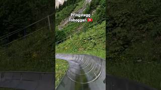 Pfingstegg toboggan Grindelwald travel shorts grindelwald switzerland toboggan myswitzerland [upl. by Hareemas130]