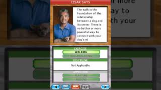 Cesar Millans Dog Whisperer Gameplay Nintendo DS [upl. by Niai654]