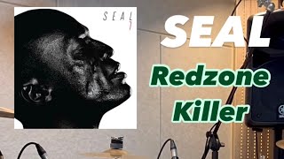 Seal  Redzone Killer cover [upl. by Alithia168]