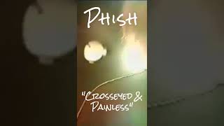 Phish  quotCrosseyed amp Painlessquot  21697  Alter Wartesaal  Cologne Germany phish livemusic [upl. by Geiss]