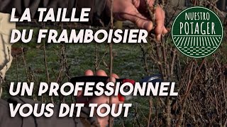 COMMENT TAILLER FACILEMENT UN FRAMBOISIER [upl. by Viv]