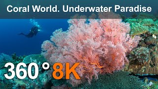 Coral World Underwater Paradise Philippines 360 underwater video in 8K [upl. by Levon]